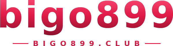 bigo899 logo